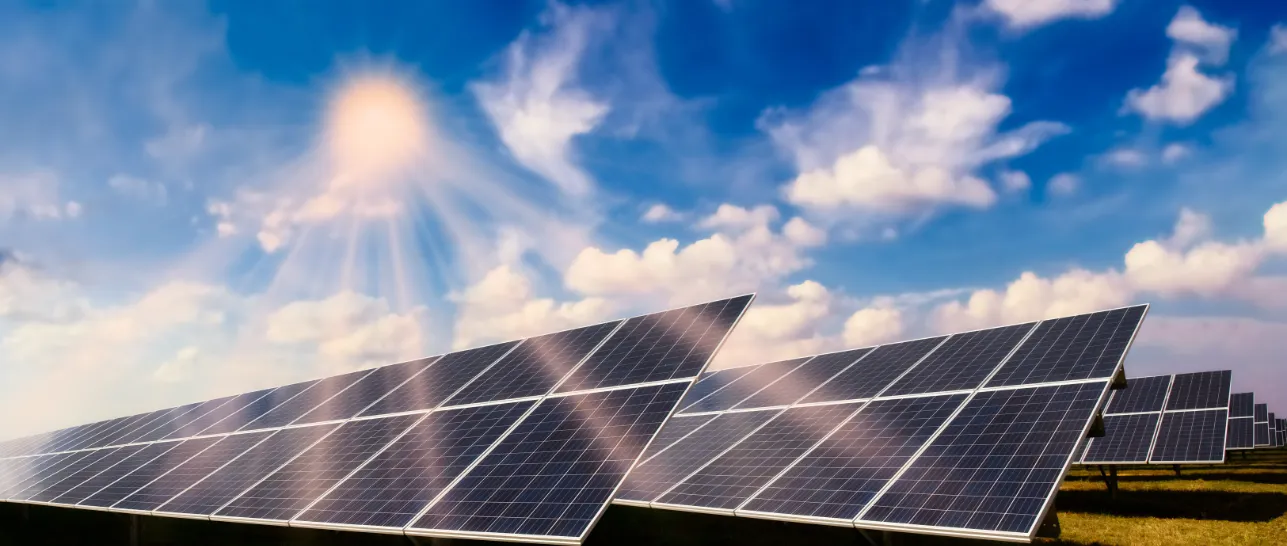 AdobeStock_234509660 Titelbild zum Beitrag Die Geschichte der Photovoltaik. Zusehen sind schräg aufgestellte Photovoltaikmodule auf einer Wiese, die von von oben von der Sonne angestrahlt werden.